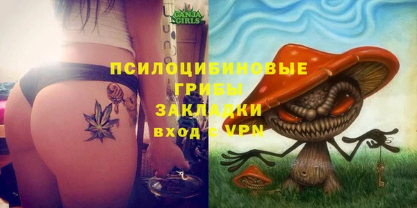 бошки Абдулино